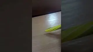 Стучу ручкой по парте на уроке физики.