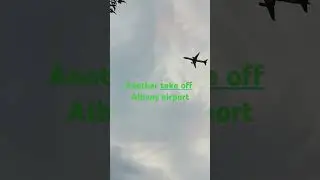 #albanyairport