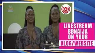 HOW TO STREAM BBNaija LIVE ON YOUR WORDPRESS BLOG | BBNAIJA LIVSTREAM 2024 || GET 50K TRAFFIC DAILY