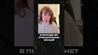 В природе нет отрицательных эмоций. Объясняет нейроучёный