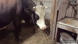 МНОГО УТОК...НАМ СТОЛЬКО НЕ НАДО будем продавать/
