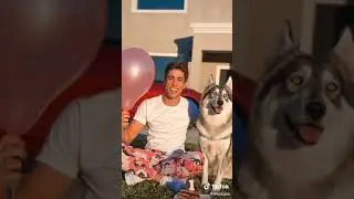 TIK TOK DE ALEJO IGOA #6