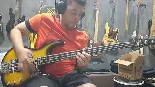 Modulus Basses (Legacy Lane Poor Pickups) vs Kian/Fender Active Flea JB (Seymour Duncan Flea Pickup)