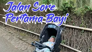 Jalan Sore Pertama Bayi Setelah Lockdown Corona Di Jepang