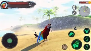 🦜The Parrot Scarlet Macaw Offered B yWild Life