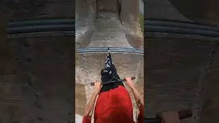 I found this👀 #short #scooter #redbull #skate #shorts #insane #viral #scoot