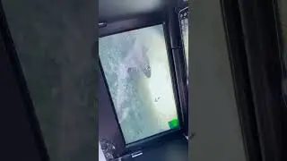 Хитрый чебак не берет наживку