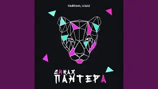 Дикая пантера