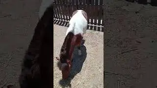 У Мартина все 👌.  