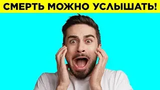 Факты, О Которых Вы Не Знали