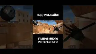 Залетел в напарники🤩