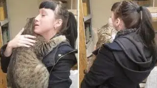 В зоомагазине кот обнял посетительницу и отказывался её отпускать, у девушки не оставалось выбора