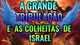 A GRANDE TRIBULAÇÃO E AS COLHEITAS EM ISRAEL! QUEM BEBERÁ DESTE CÁLICE AMARGO?