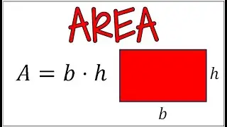 How to Find the Area of a Rectangle | 3 Examples