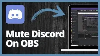 How to Mute Discord on OBS Studio | Quick and Easy Guide