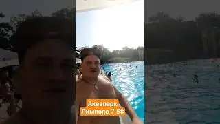 #Ташкент