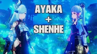 C0 Ayaka + C0 Shenhe damage test