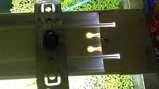 Батл)))))