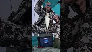 Скоро закрытие зимнего сезона по сороге