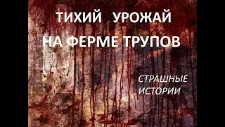 Тихий урожай на ферме трупов    Страшные истории на ночь.  Страшилки на ночь.  Ужасы.  Страшилки.
