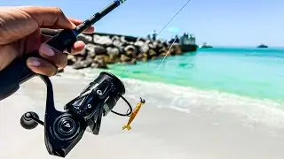 I Started Fishing the Beach With Finesse Baits & Caught This