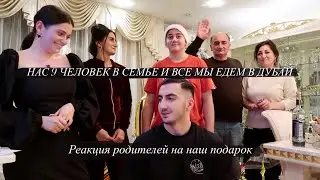 СЕМЕЙНОЕ ПУТЕШЕСТВИЕ В ДУБАЙ | РЕАКЦИЯ РОДИТЕЛЕЙ