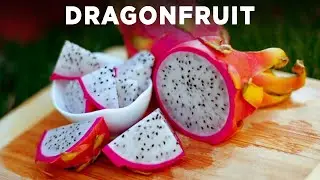 Dragonfruit Tanghulu