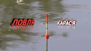 ЛОВЛЯ КАРАСЯ!на поплавок на озере !!