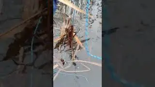 Рыбалка 2023!!! Проверяю верши