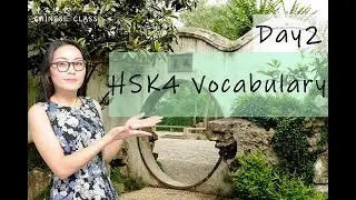 HSK4 Vocabulary 2️⃣(with examples )//Chinese Vocabulary