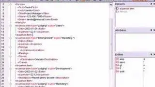 XML Editing with Altova XMLSpy