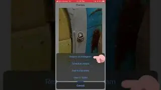 How to Repost on Instagram for Free - Easy Tutorial