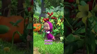 Вот это коллекция!🫙🍎#Shorts #машаимедведь #МанияСобирания #mashaandthebear #tadaboom #детскиепесенки