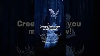 Creepy facts you must know 💀