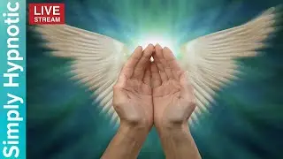 This live stream has ended. a NEW version will be available soon
