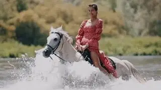 Horse Riding Adventures
