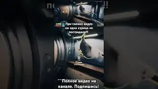 Курица не пострадала в Breathedge! #игры #прохождение #gaming #breathedge #выживание #космос
