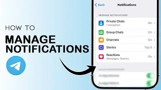 How To Manage Notifications on Telegram - Full Guide