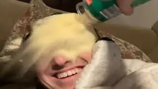 Top 5 Blind Person