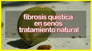 fibrosis quistica en senos tratamiento natural