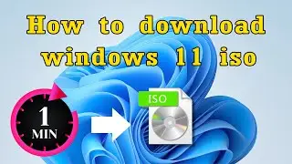 How to Download Microsoft Windows 11 ISO File 2024