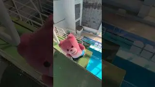 10m Diving
