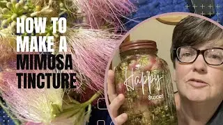 Ep. 185: Making A Mimosa Flower Tincture at Home (Step-by-Step Guide)