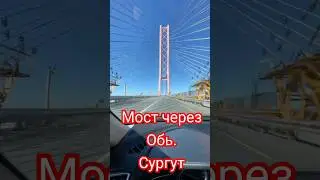 #сургут#мост#обь