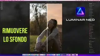 Rimuovi e cambia lo sfondo in 2 click | Luminar Neo 1.1