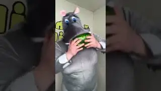 Nom nom nom! Hippo!