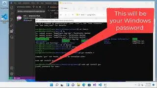Compiling & Running C Programs in Windows 11 with Visual Studio Code, gcc & bash