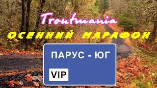 Troutmania: осенний марафон. Парус-Юг ВИП