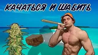 Как марихуана ( трава,гашиш ) влияет на спортивные результаты и дофамин ? Исследования