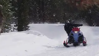 SX Venom 2024